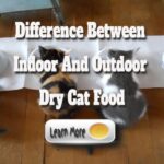 Difference Between Indoor And Outdoor Dry Cat Food