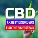 Too Busy for a Wellness Routine? CBD from Hemp Can Help