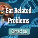 Ear Related Problems in the Middle Ear and Surgery