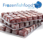 Frozen Bloodworms For Aquarium Fish – An Ideal Food Source