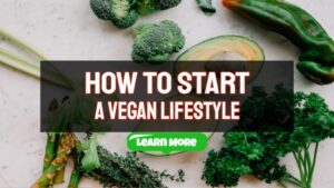 how to start a vegan lifestyle