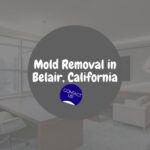 Asbestos Removal in Belair, California: A Comprehensive Examination