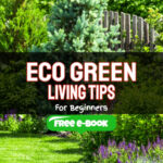 Eco Green Living Tips for Beginners – Cut Down Energy Consumption