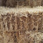 Barley Straw Bales and their many uses – 100% Natural