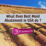 What Does Best Mold Abatement do in Encino, California?