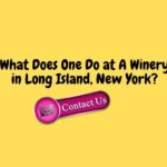 What Does One Do at A Winery in Long Island, New York?