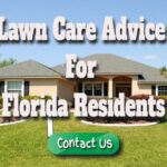 Lawn Care Advice for Florida Residents