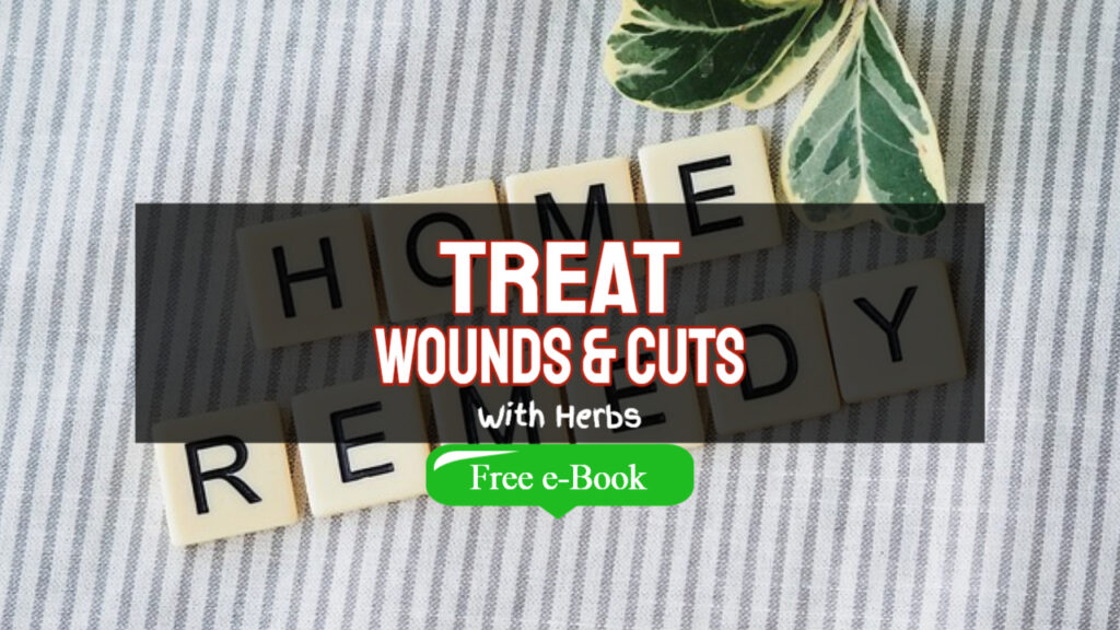 How To Treat Wounds And Cuts With Herbs