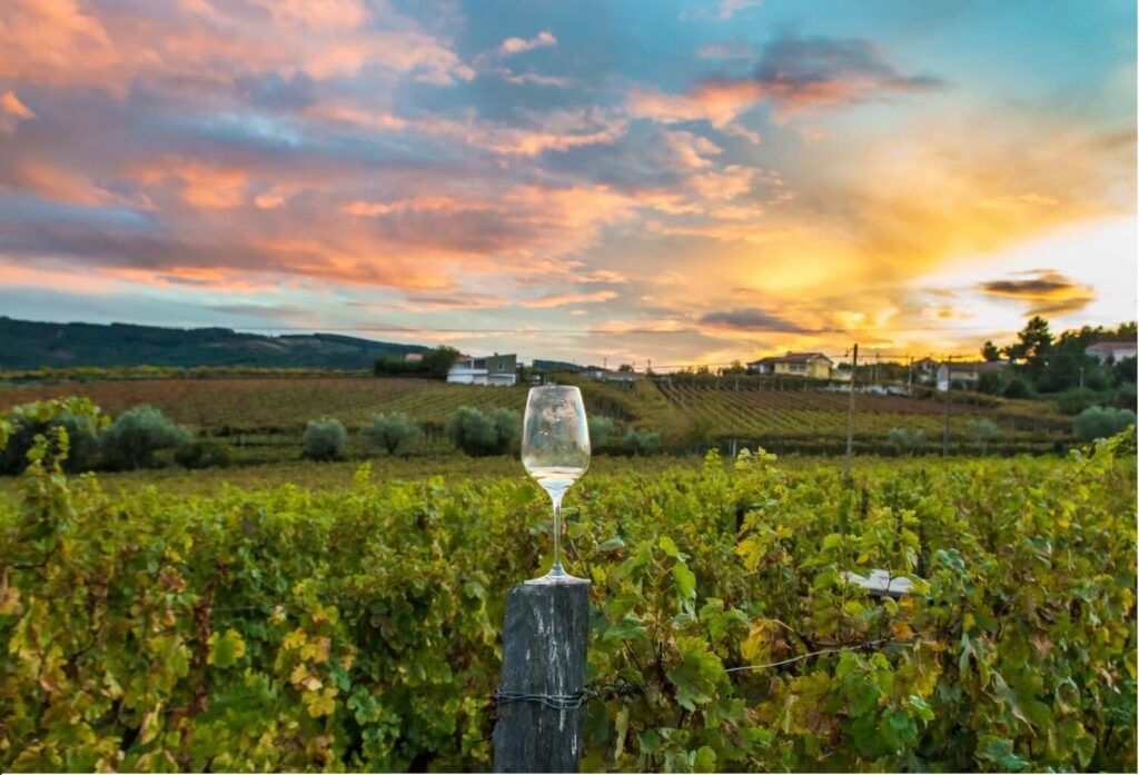 Know Everything About New York Wine Tours