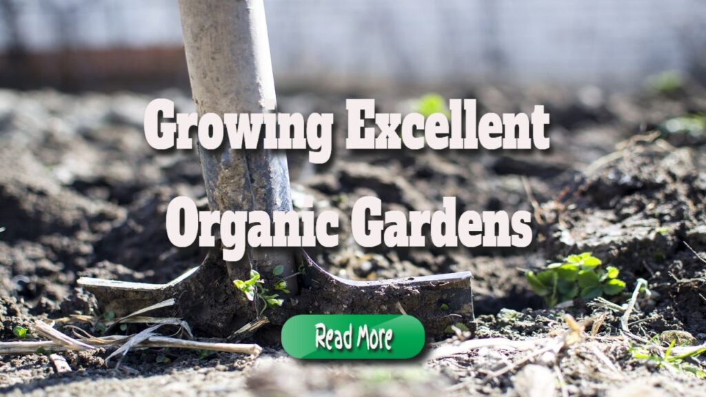 Growing Excellent Organic Gardens