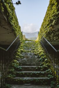 weeds growing on steps