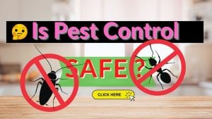 pest contol safety