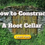 How to Construct a Root Cellar