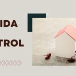 Pest Control Tips For Florida Homes and Apartments