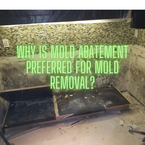 Why Is Mold Abatement Preferred For Removal of Mold?