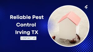 What are the Signs of a Pest Infestation in Your Home