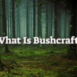 What Is Bushcraft? Skills for Survival and Self-Reliance