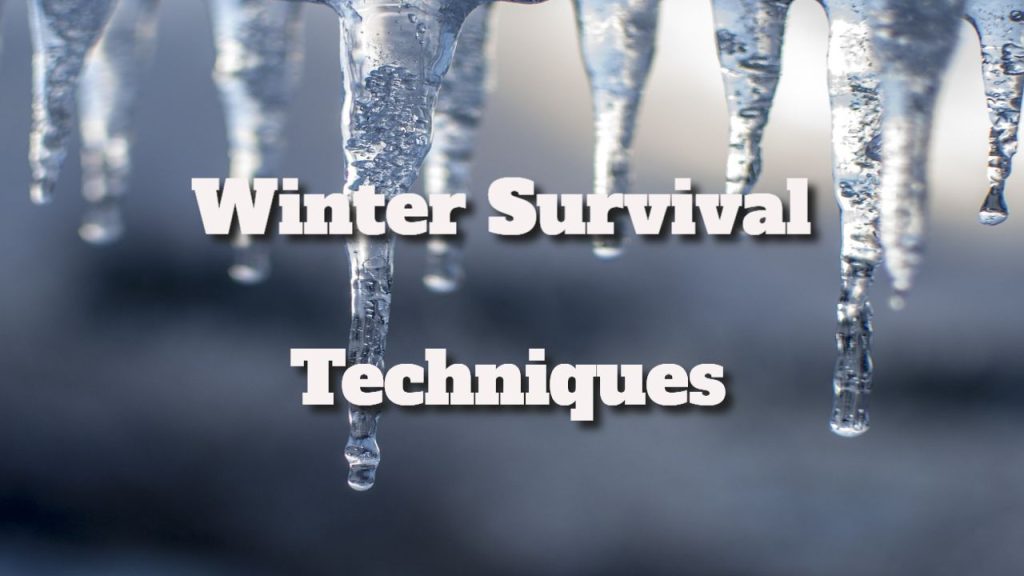 Winter Survival Techniques