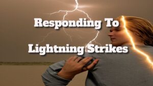 Protection From Lightning Strikes