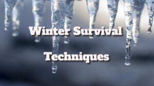 The Finest Winter Survival Techniques