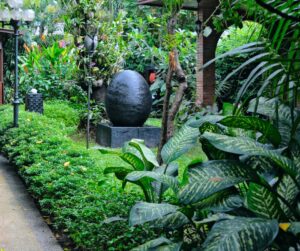 Tropical Landscape Gardeners: Elevating Your Sydney Garden