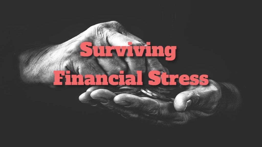 Surviving Financial Stress