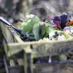 Find the Best Kitchen Composter for Your Eco-Friendly Lifestyle