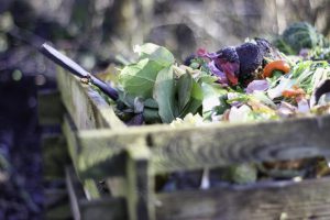 Find the Best Kitchen Composter for Your Eco-Friendly Lifestyle