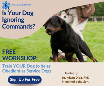 7-New-336-x-280-Banner-Ads Free Online Dog Training Workshop