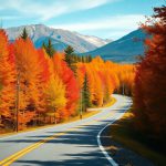 Scenic Drives for Fall Foliage Across the U.S.