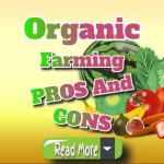 Organic Farming Pros and Cons: A Clear Explanation