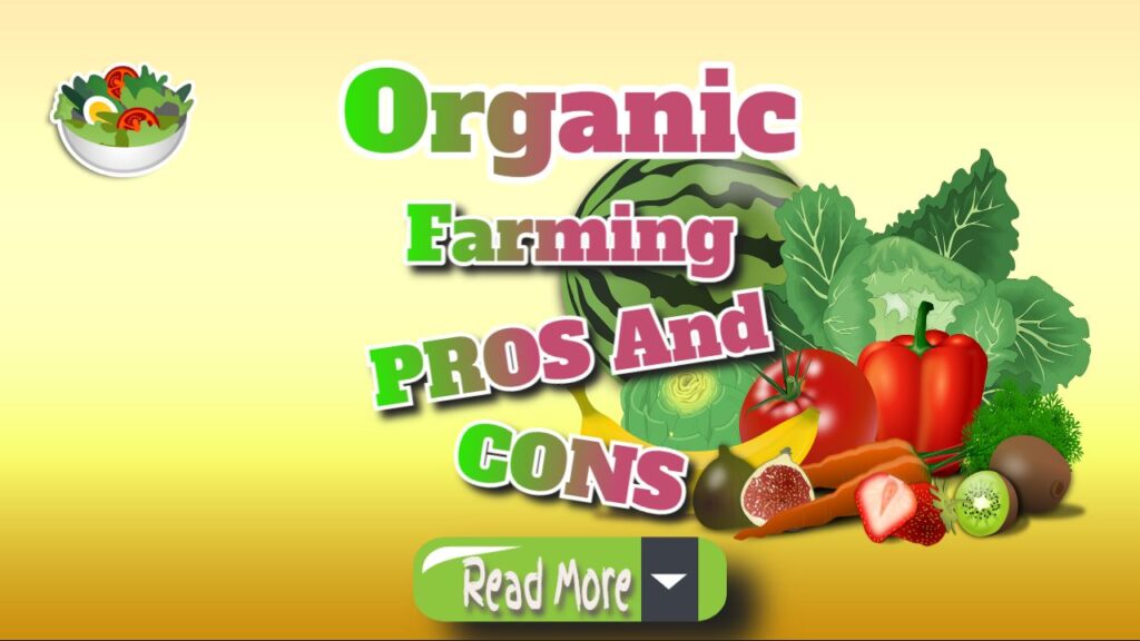 Organic Farming Pros and Cons: A Clear Explanation