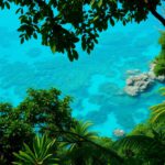 Belize 2025: Discover Winter Sun in Rainforests and Reefs