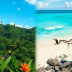 Eco-Adventures in Nature: Discover Belize and Costa Rica